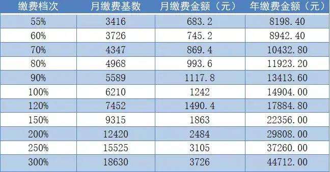 灵活就业人员养老保险各档该缴多少？3