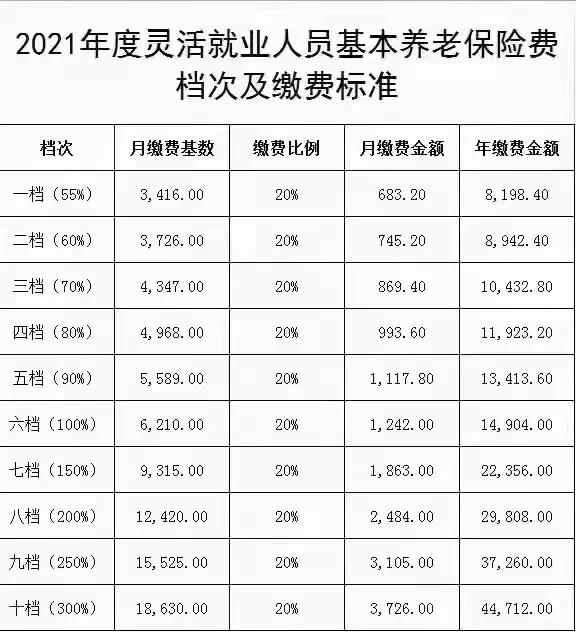 灵活就业人员养老保险各档该缴多少？11