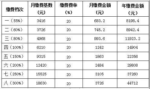灵活就业人员养老保险各档该缴多少？10