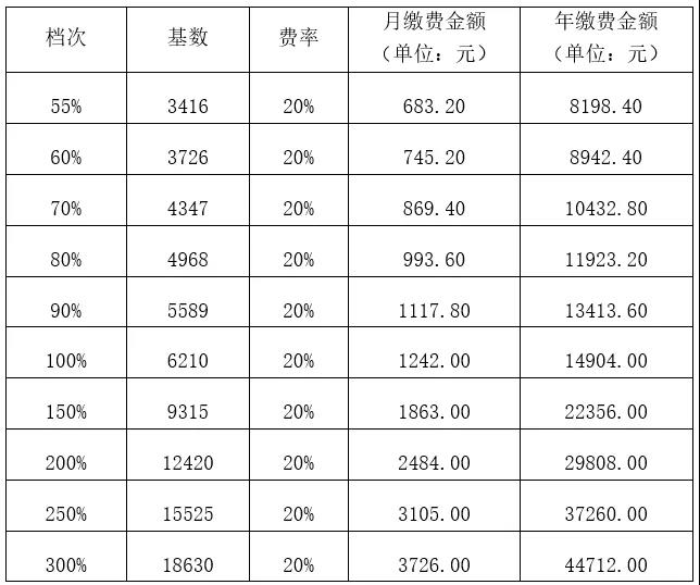 灵活就业人员养老保险各档该缴多少？6