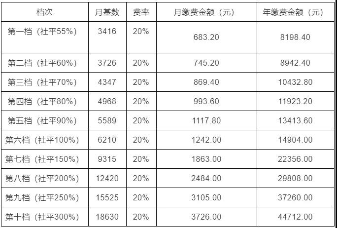灵活就业人员养老保险各档该缴多少？5